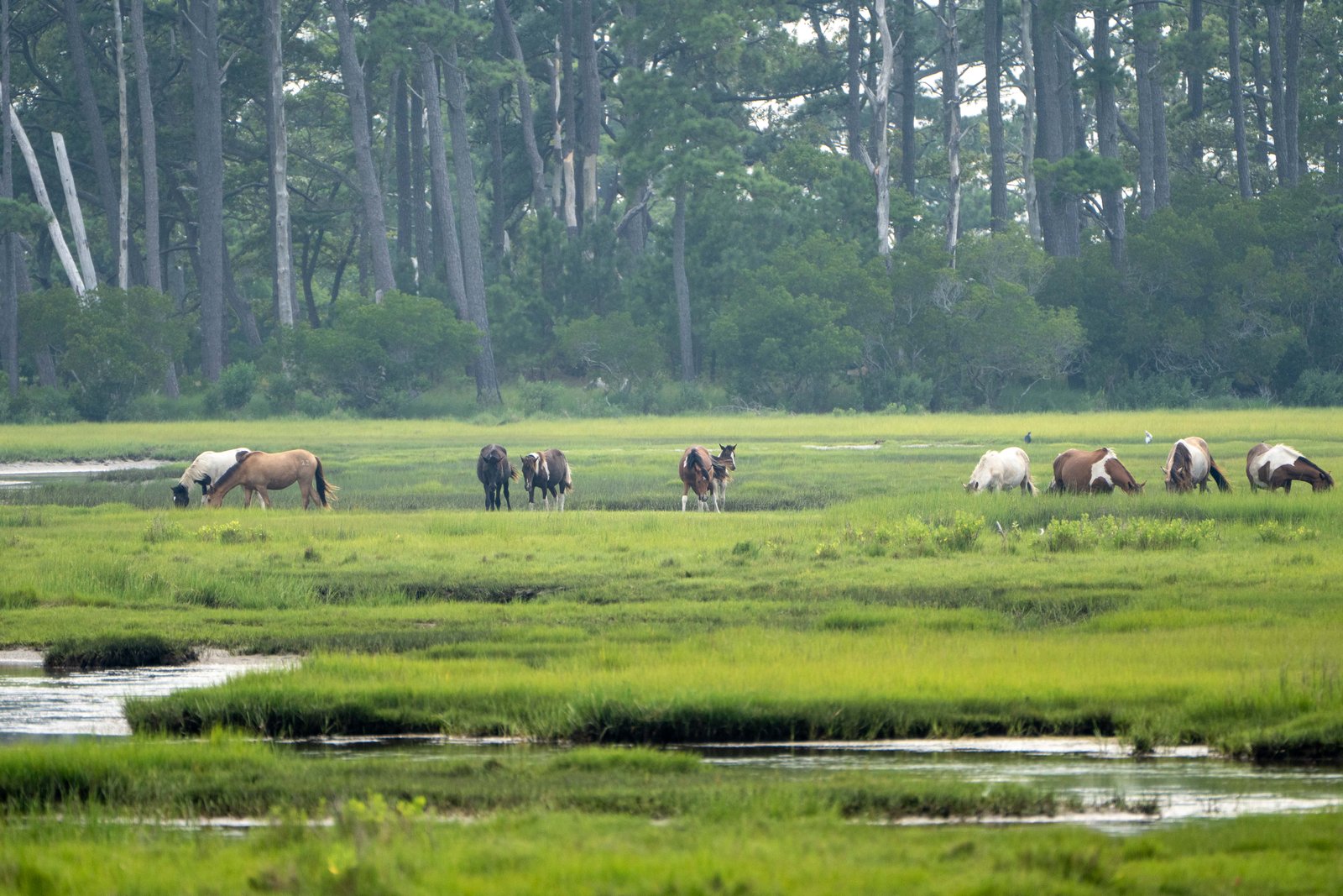 A photo from glenkphoto.com gallery