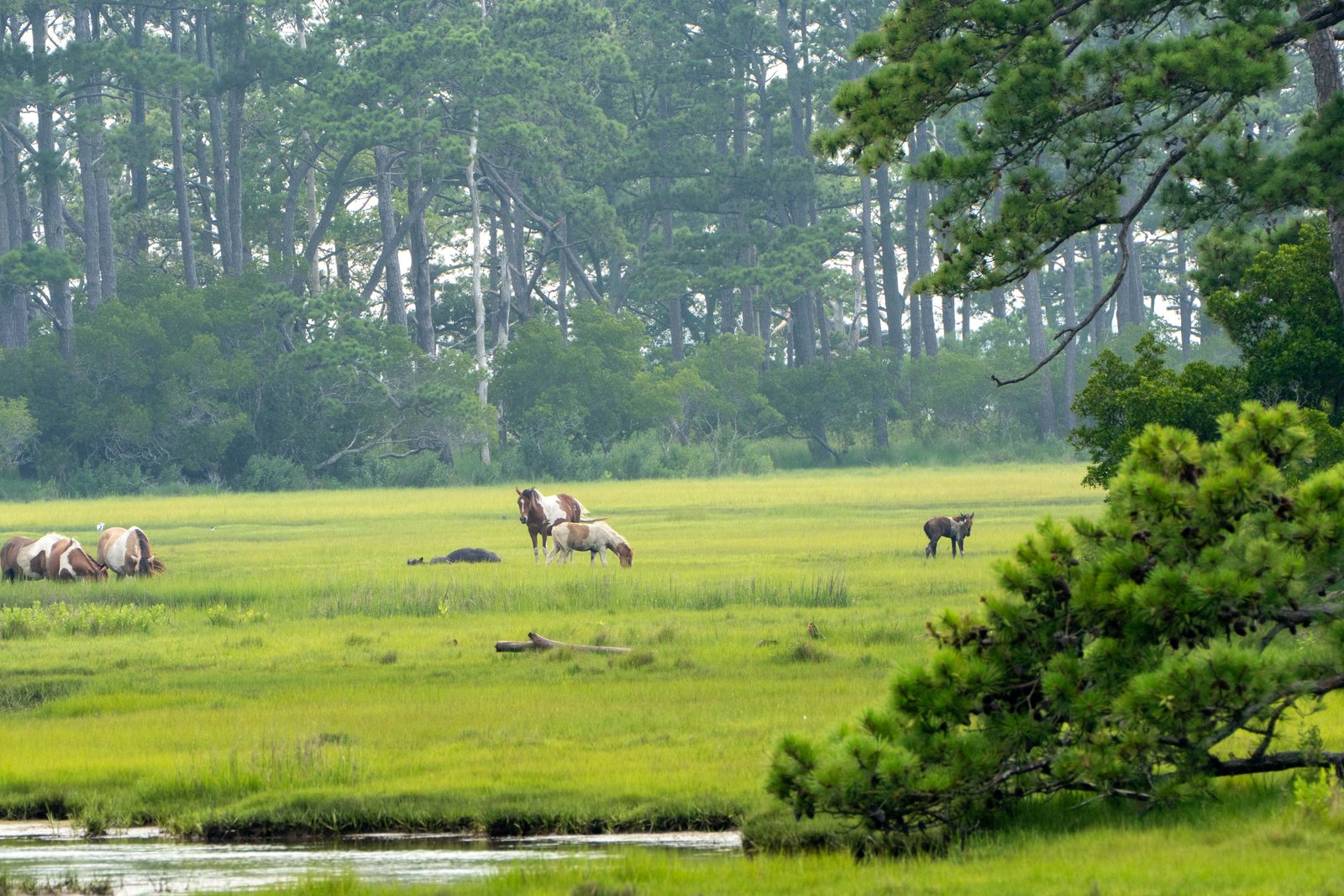 A photo from glenkphoto.com gallery