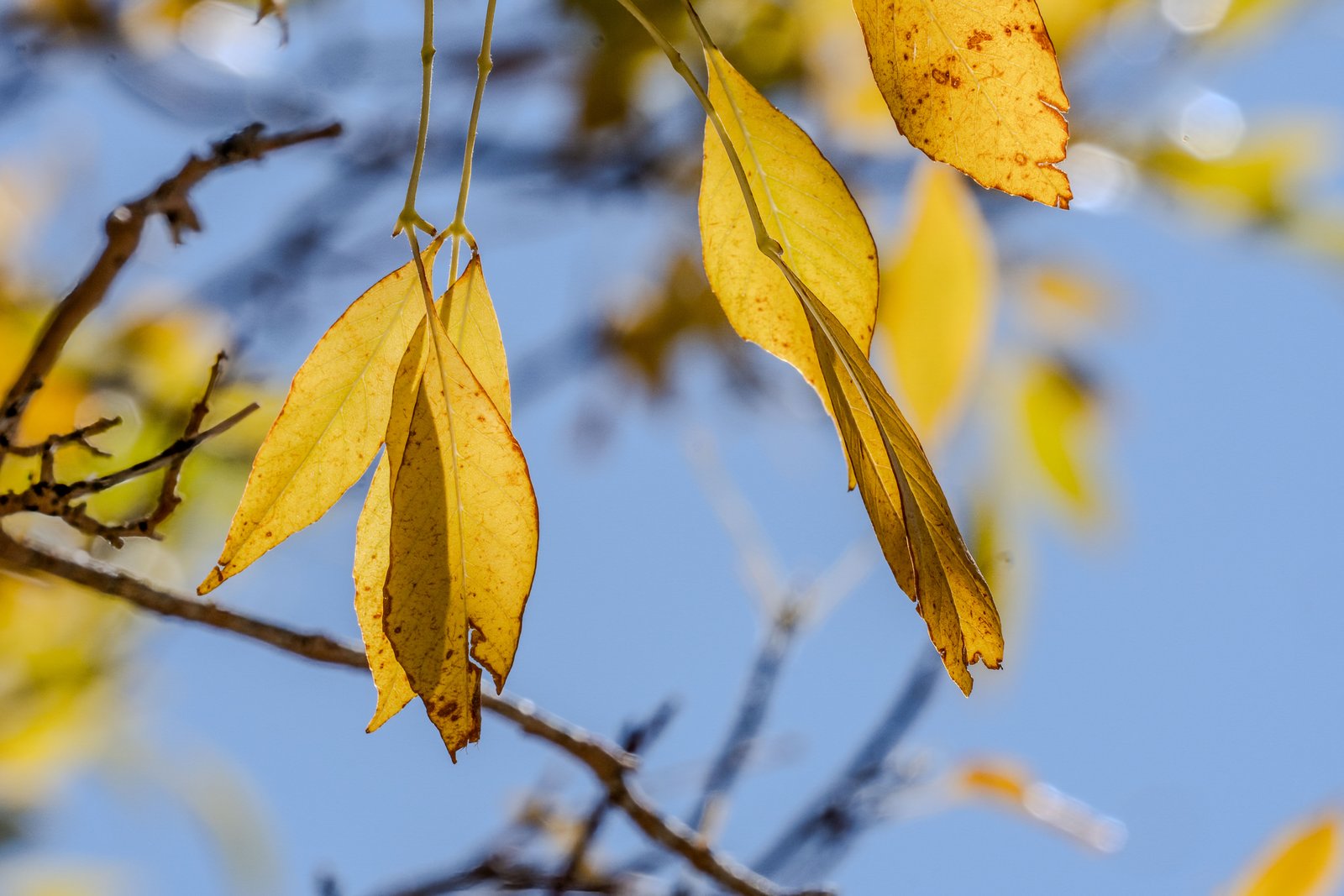 A photo from glenkphoto.com gallery