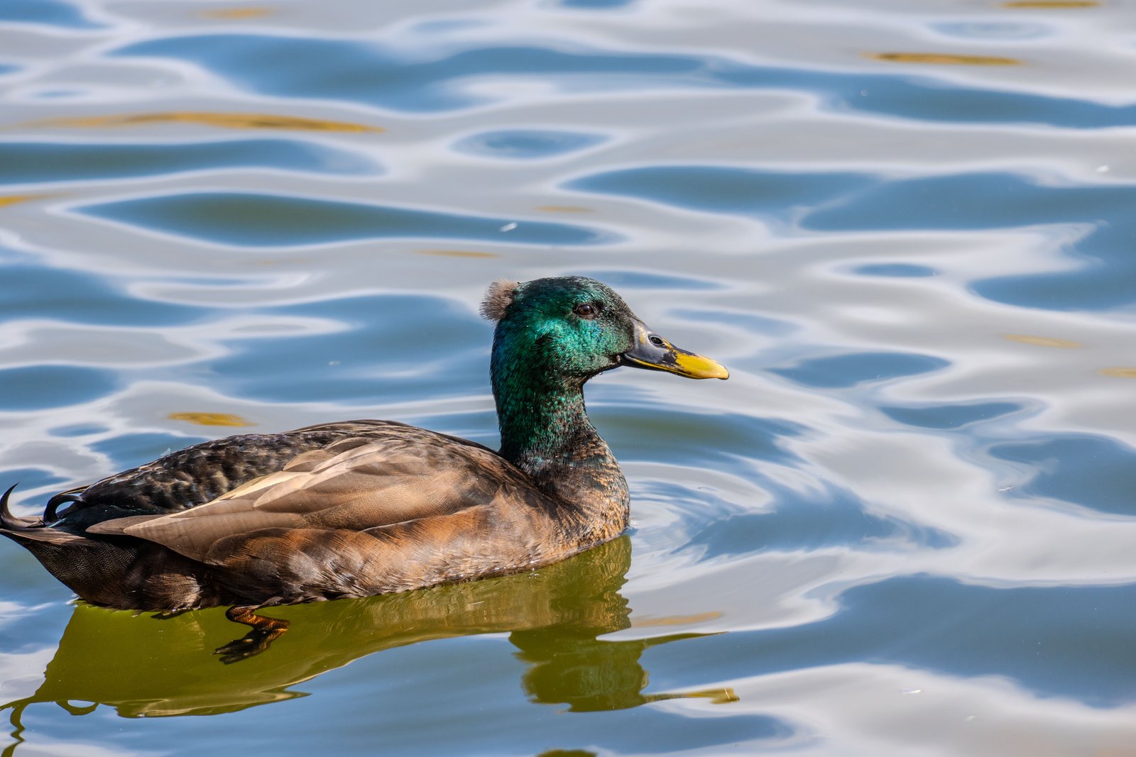 A photo from glenkphoto.com gallery