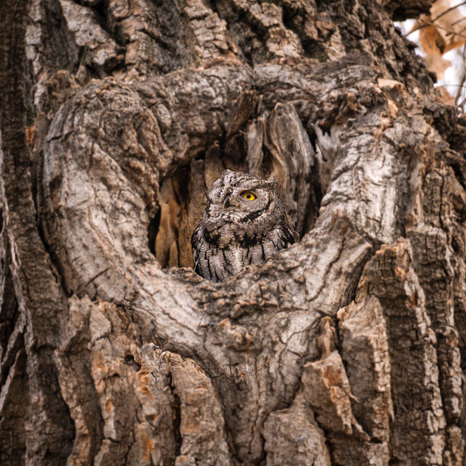 A photo from glenkphoto.com gallery