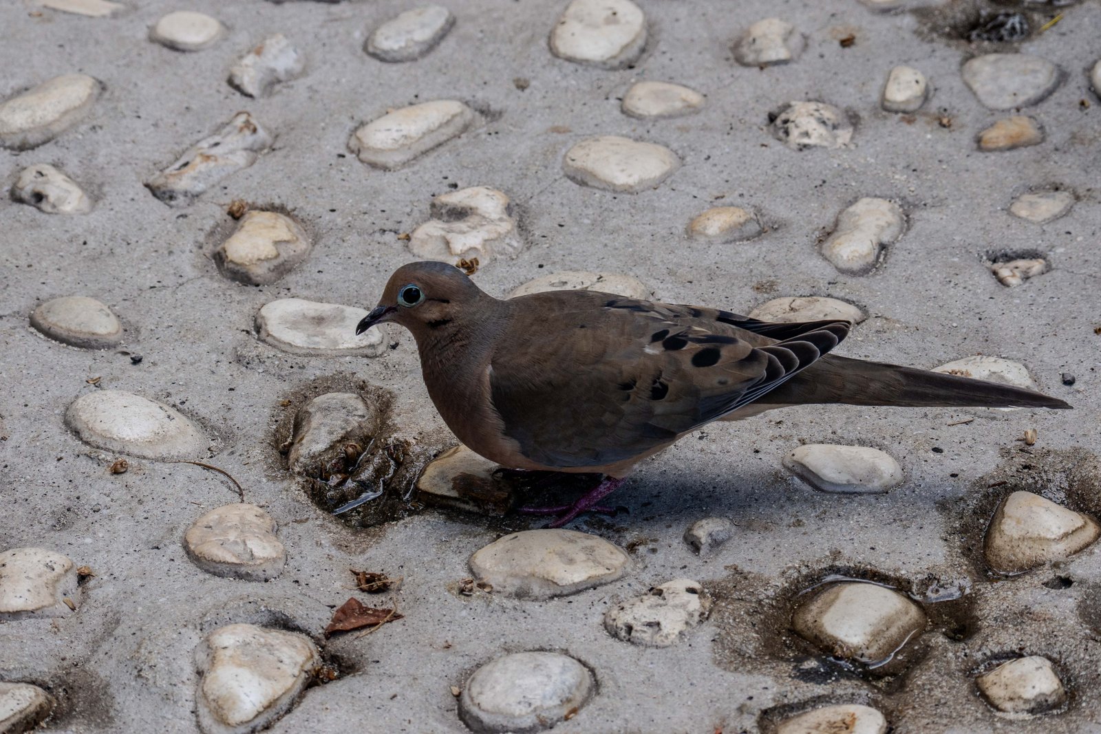 A photo from glenkphoto.com gallery