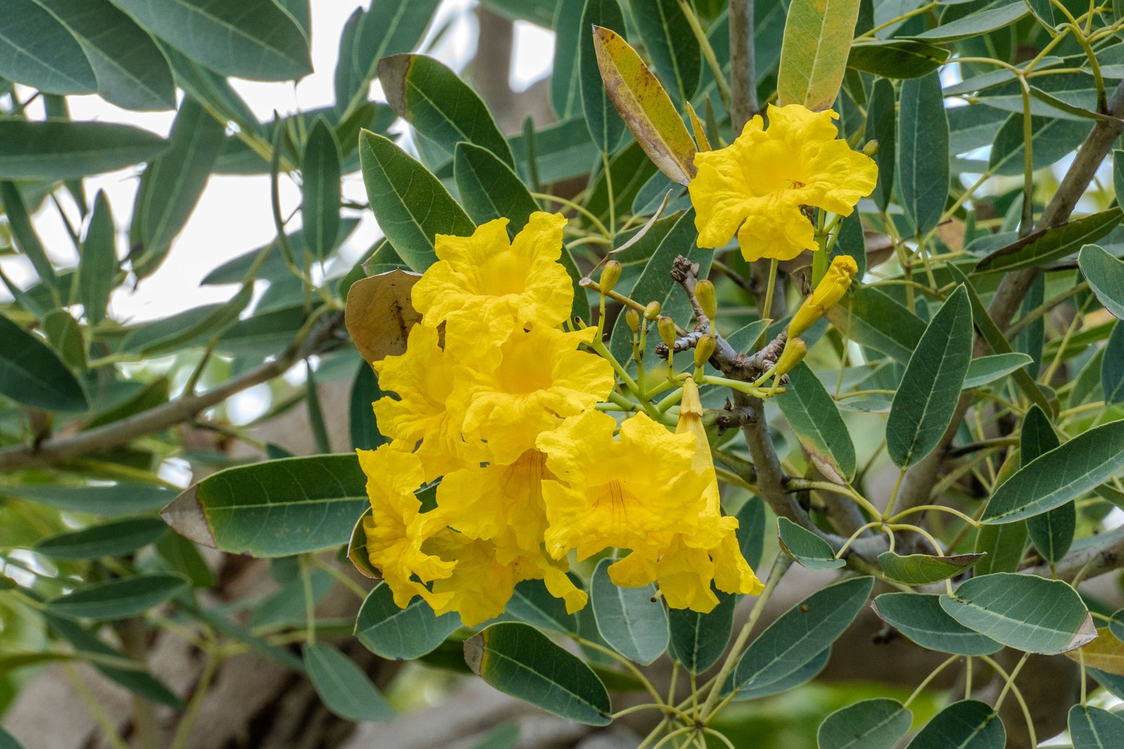 A photo from glenkphoto.com gallery