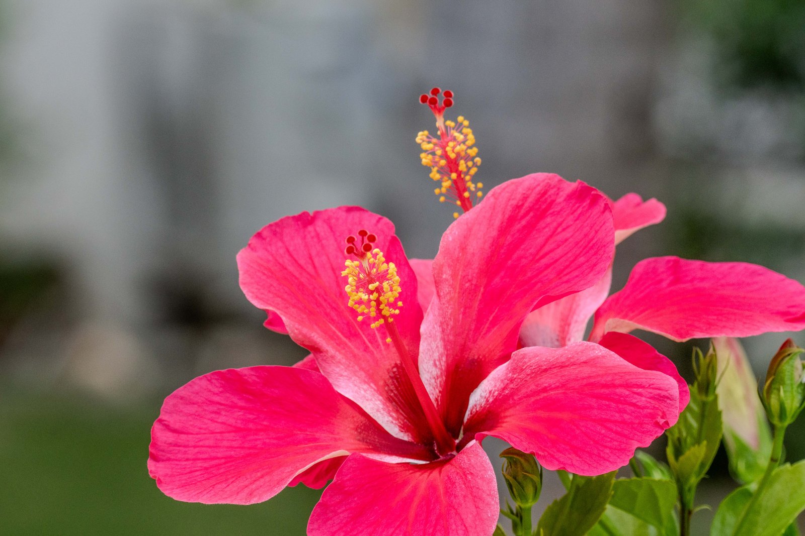 A photo from glenkphoto.com gallery