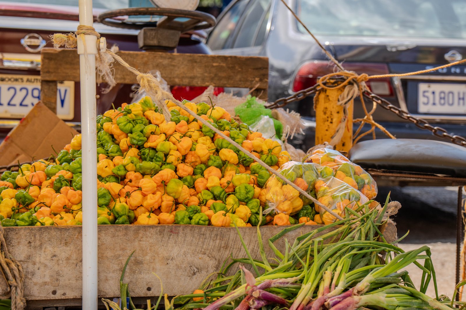 A photo from glenkphoto.com gallery