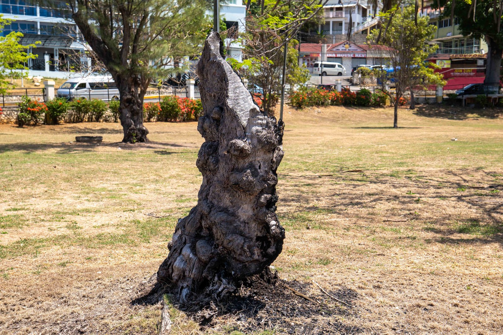 A photo from glenkphoto.com gallery