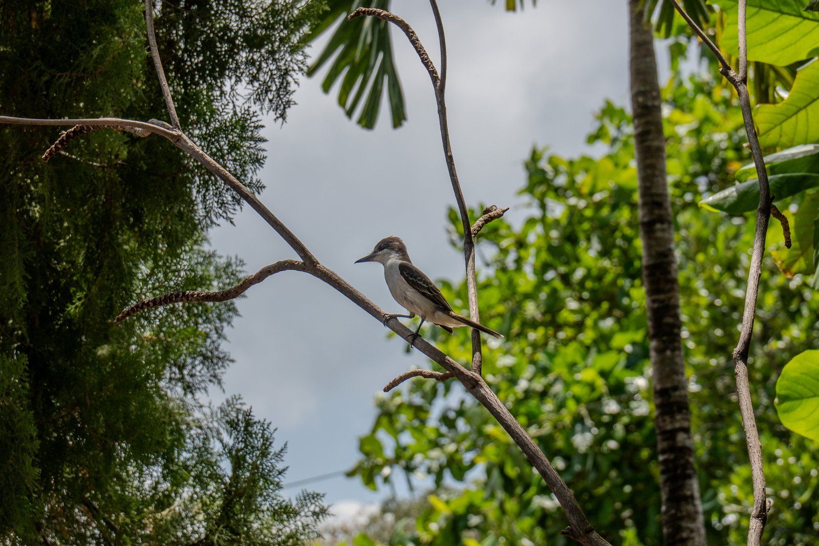 A photo from glenkphoto.com gallery