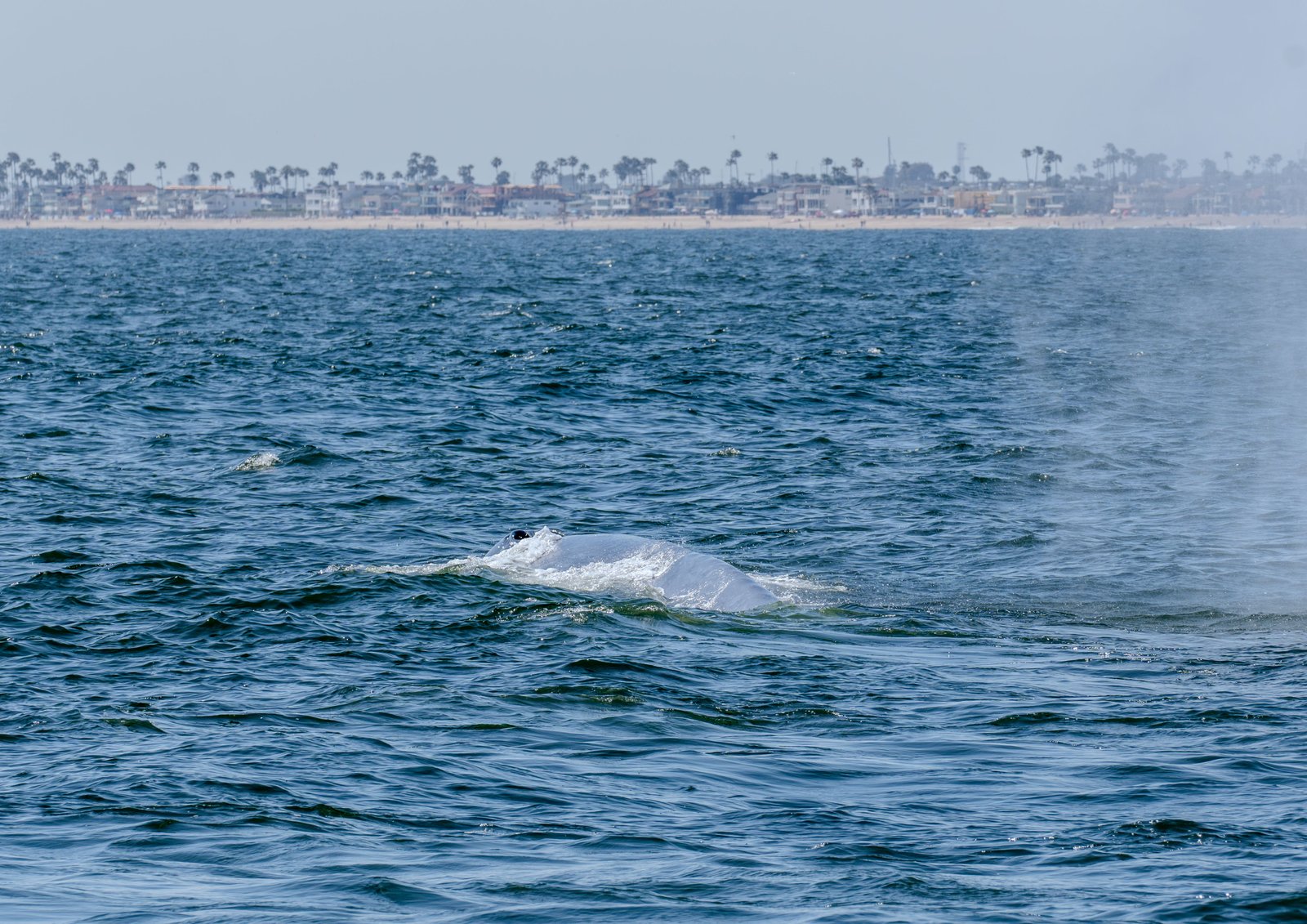 A photo from glenkphoto.com gallery