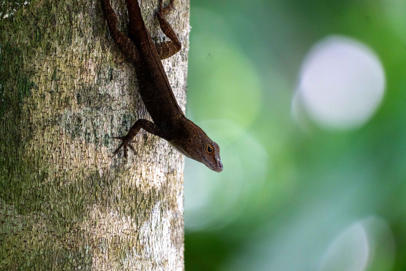 A photo from glenkphoto.com gallery