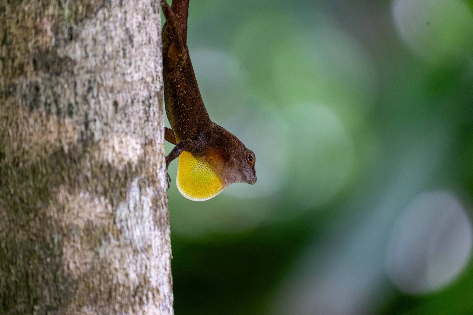 A photo from glenkphoto.com gallery