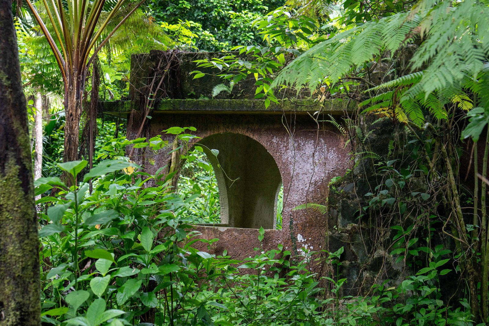 A photo from glenkphoto.com gallery