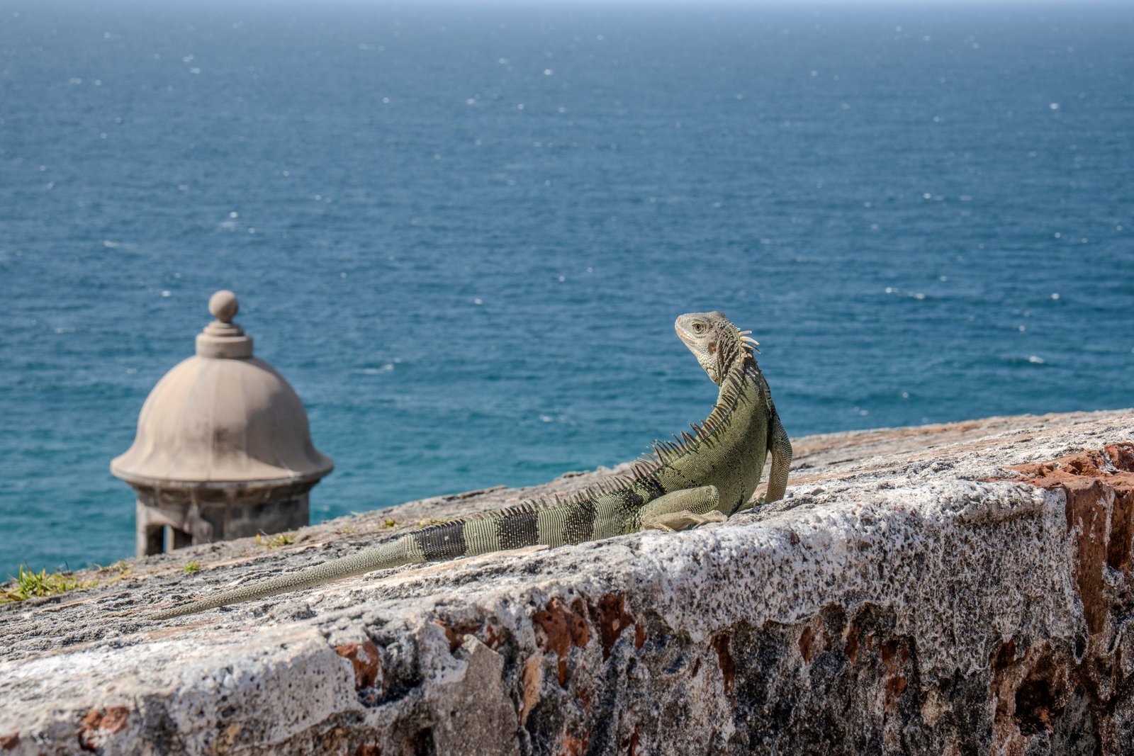 A photo from glenkphoto.com gallery