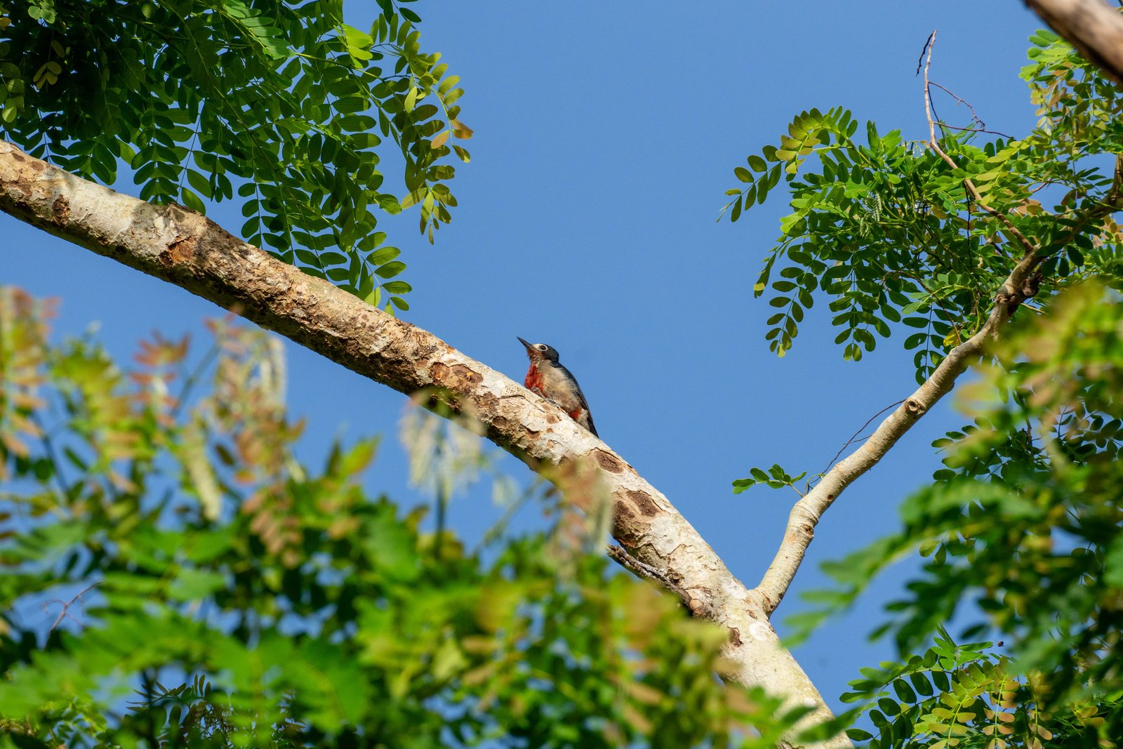 A photo from glenkphoto.com gallery