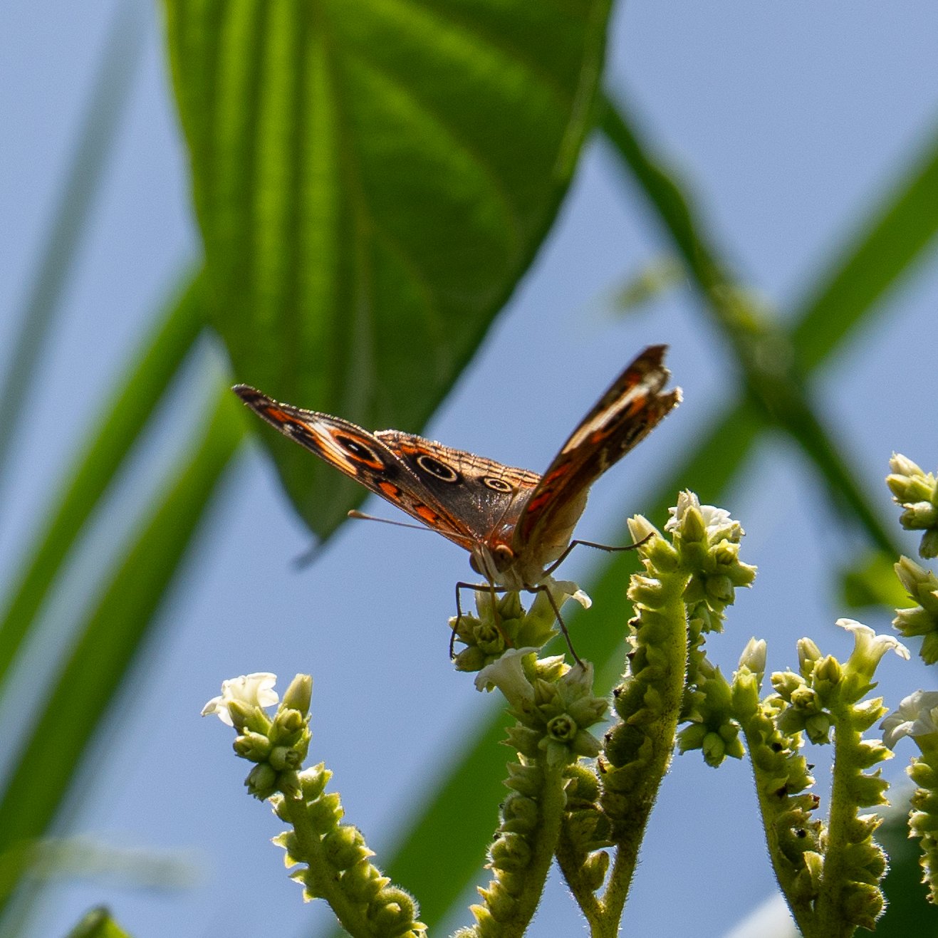 A photo from glenkphoto.com gallery