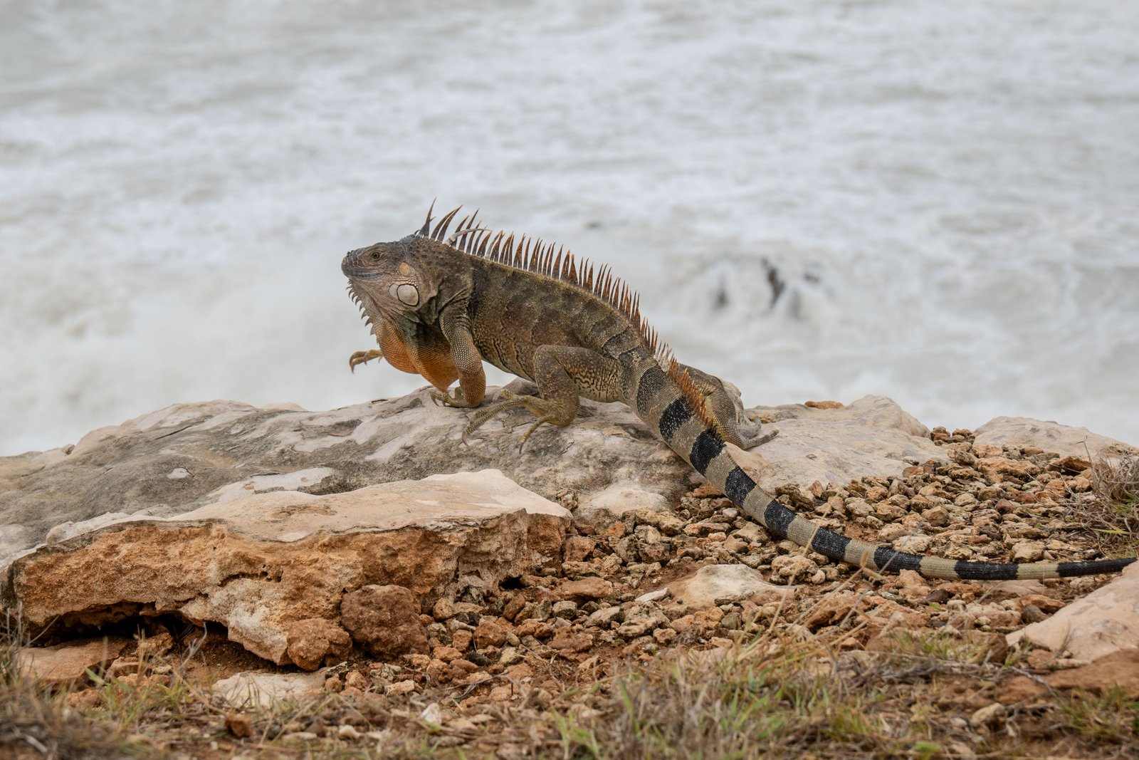 A photo from glenkphoto.com gallery