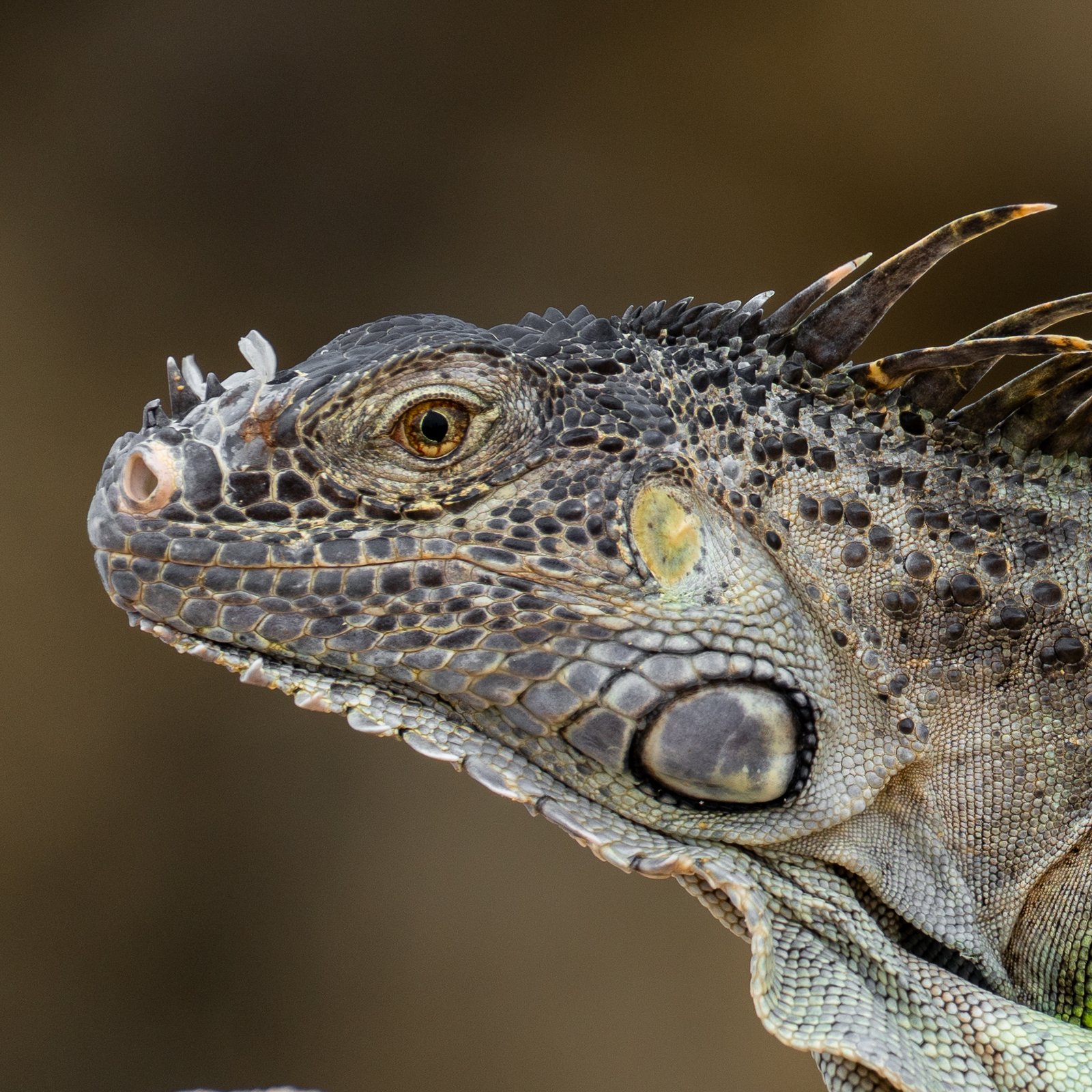 A photo from glenkphoto.com gallery