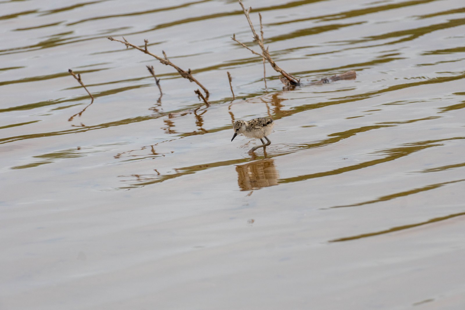 A photo from glenkphoto.com gallery