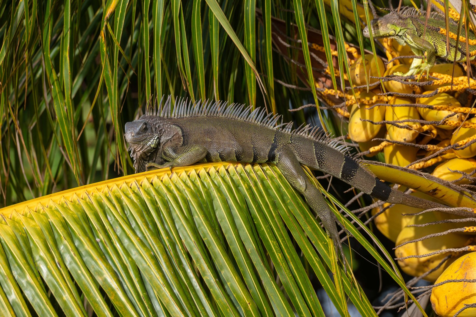 A photo from glenkphoto.com gallery