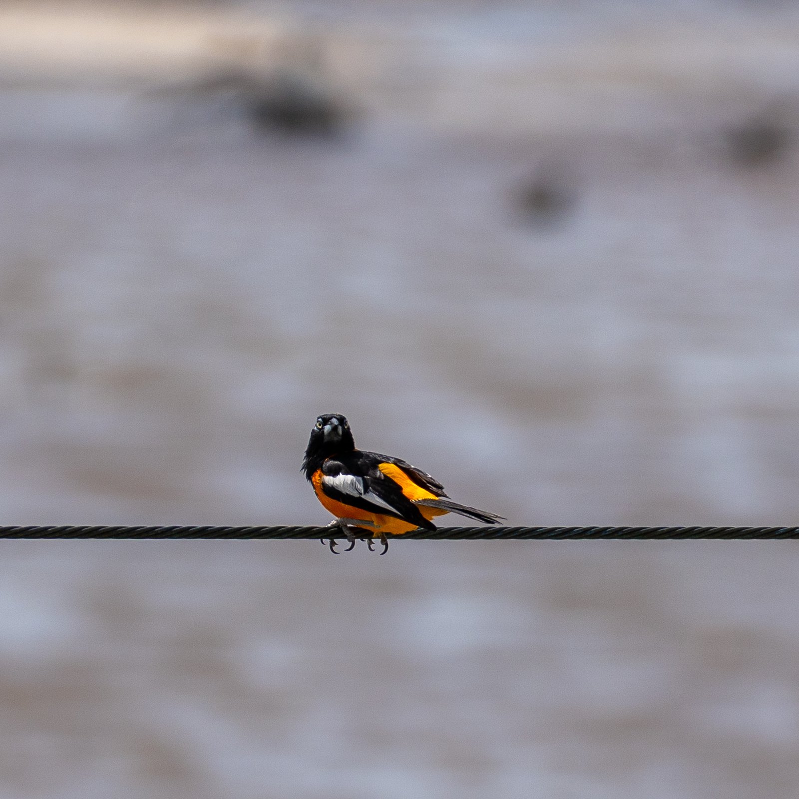 A photo from glenkphoto.com gallery