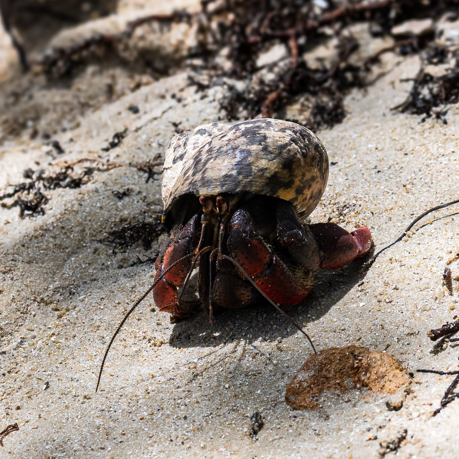 A photo from glenkphoto.com gallery