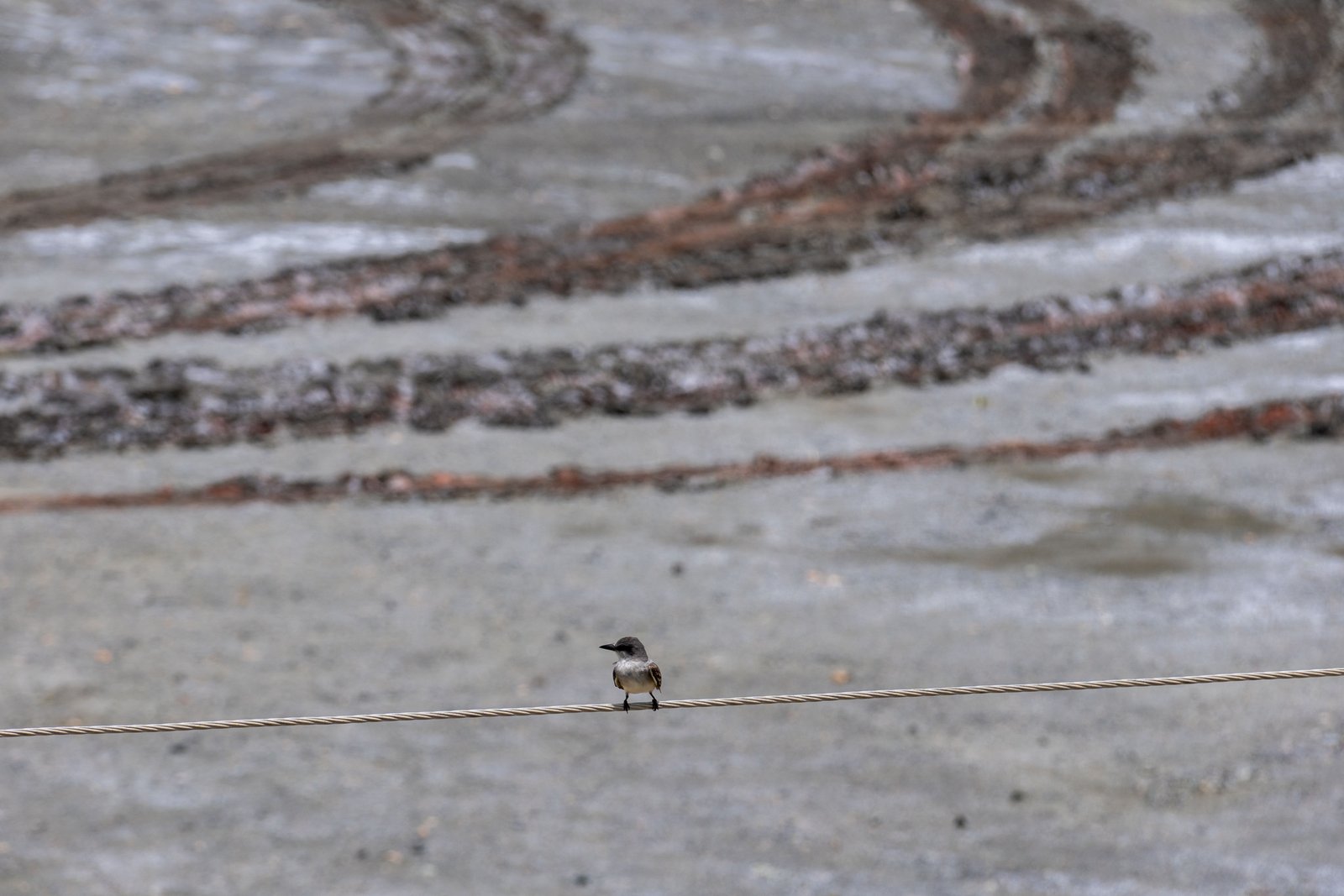 A photo from glenkphoto.com gallery