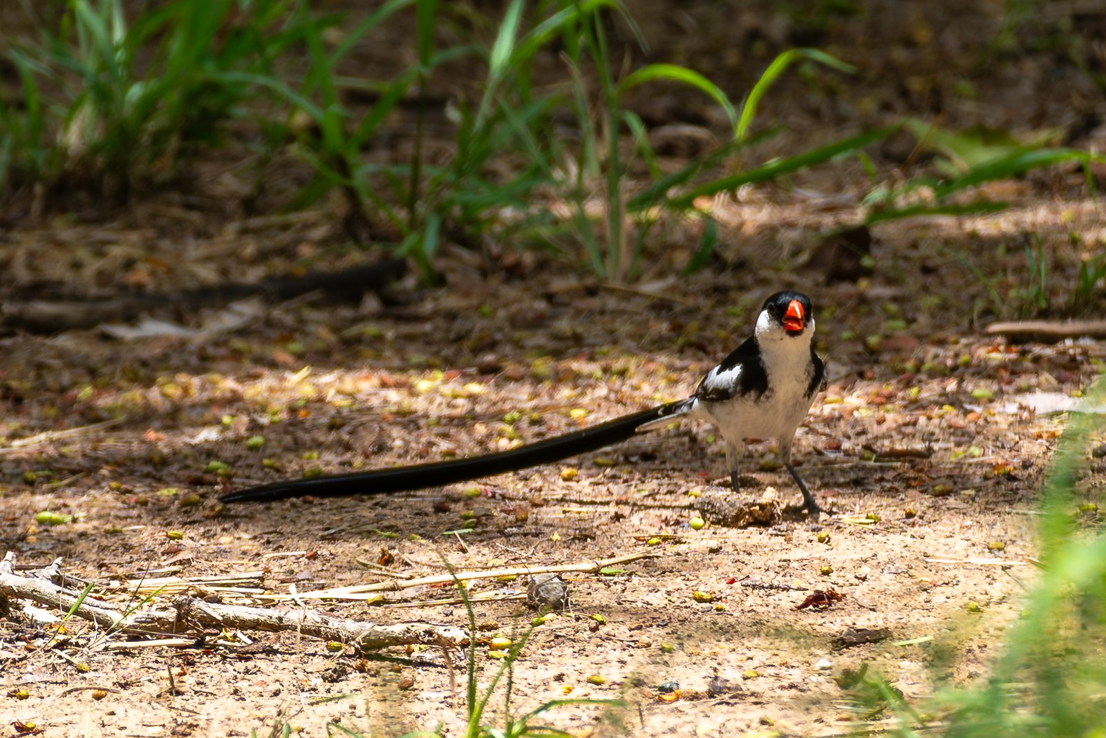 A photo from glenkphoto.com gallery