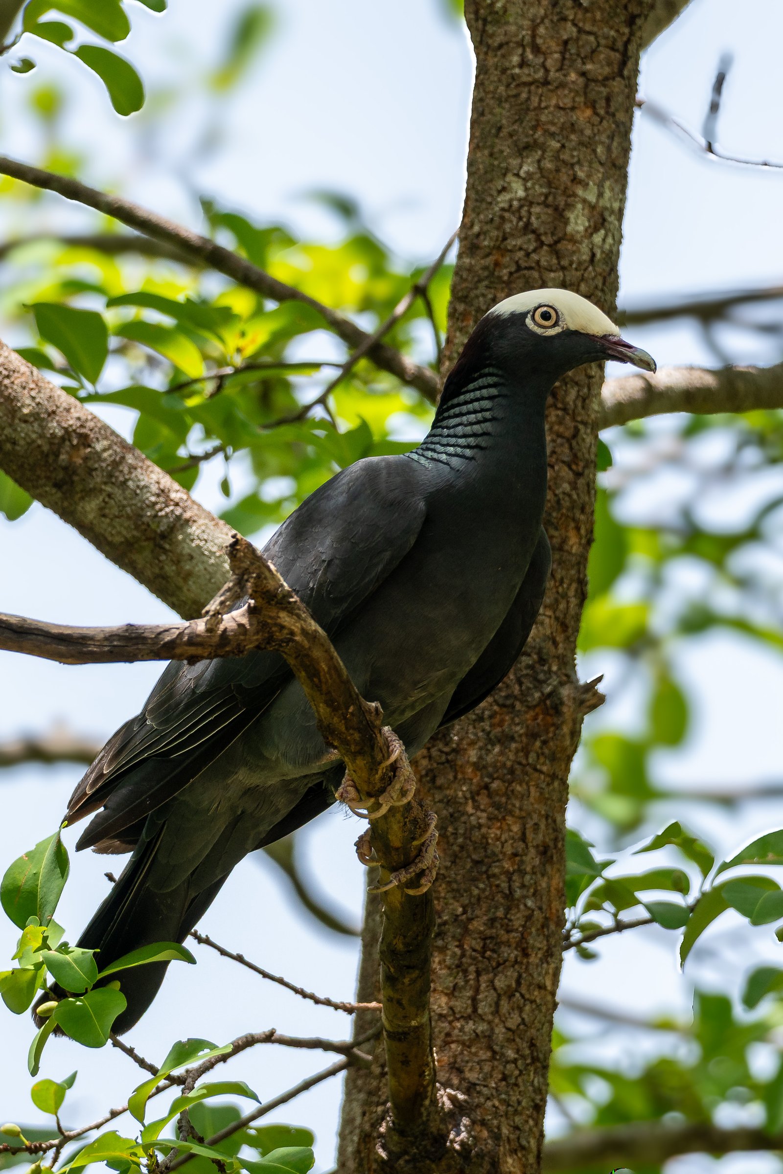 A photo from glenkphoto.com gallery