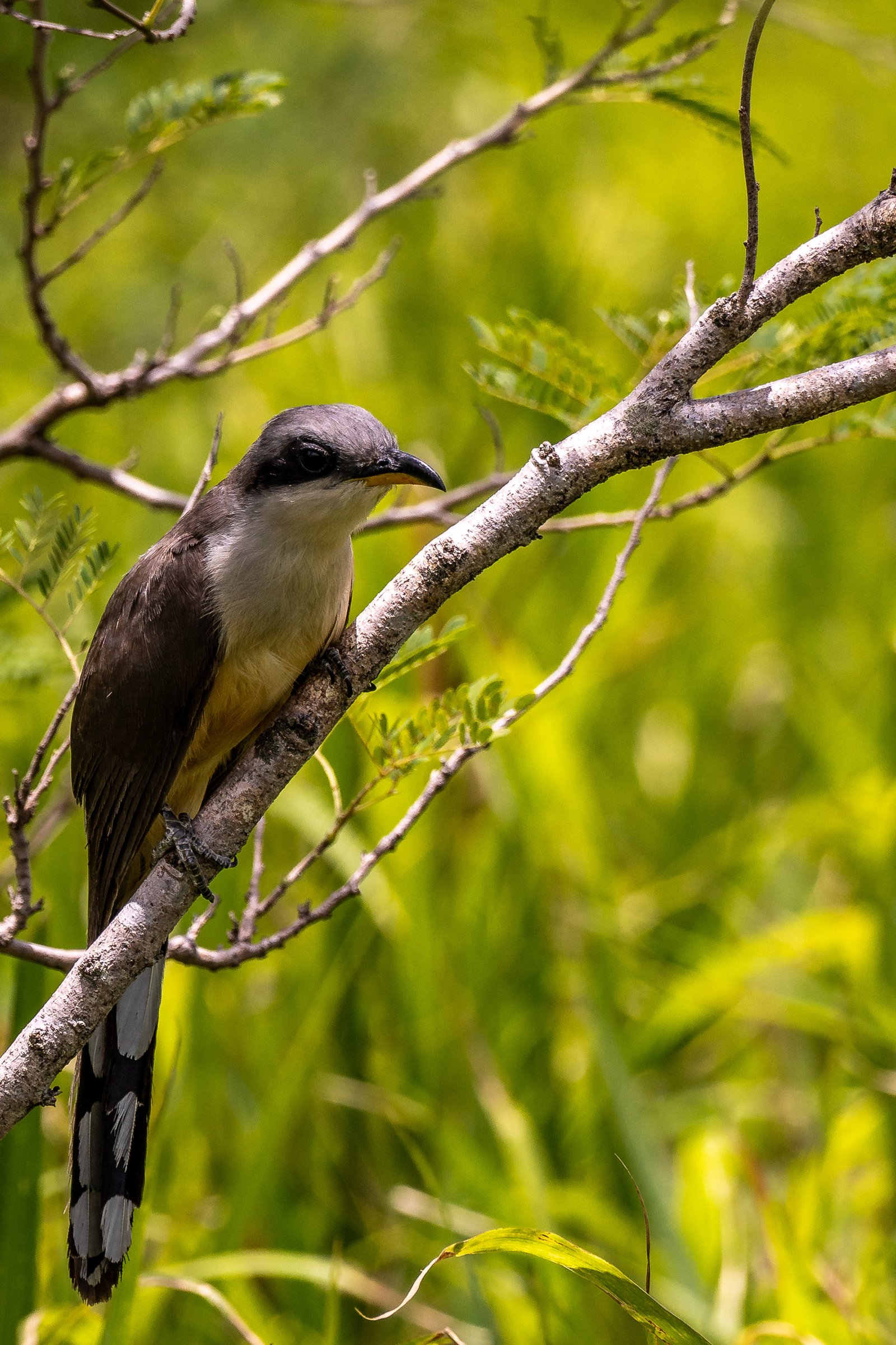 A photo from glenkphoto.com gallery