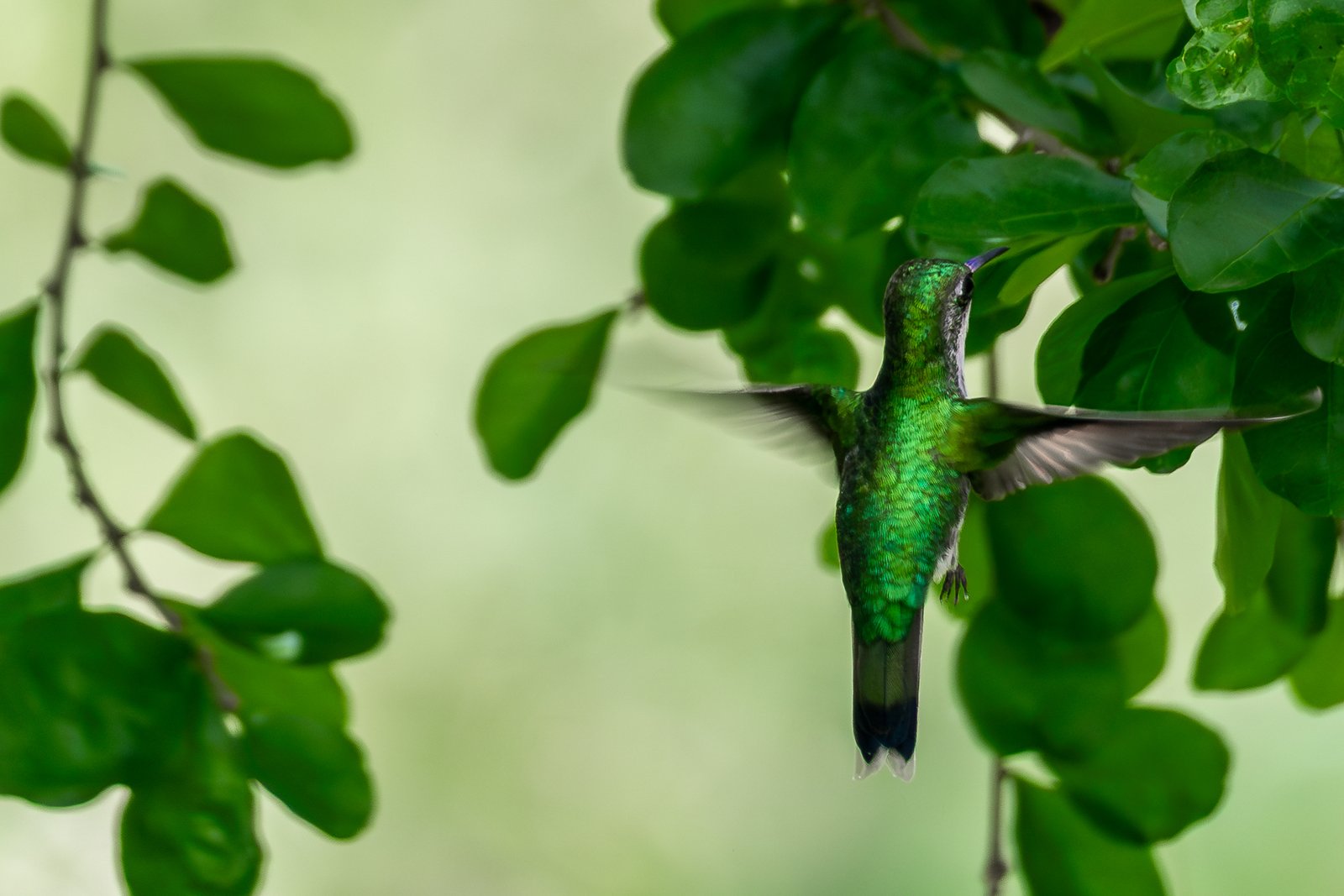 A photo from glenkphoto.com gallery