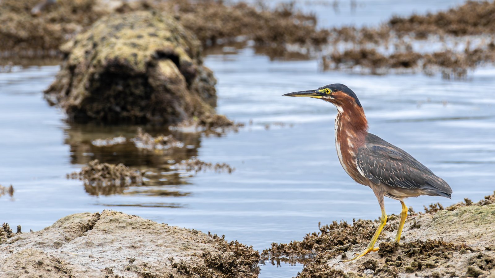 A photo from glenkphoto.com gallery