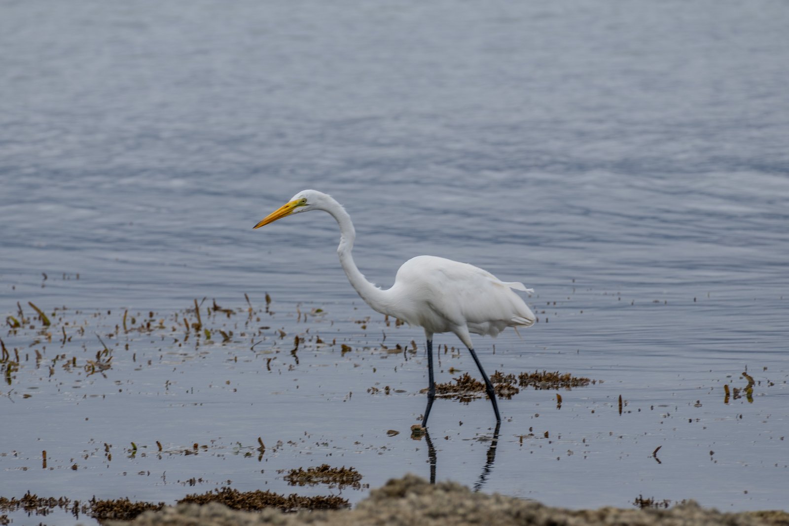 A photo from glenkphoto.com gallery