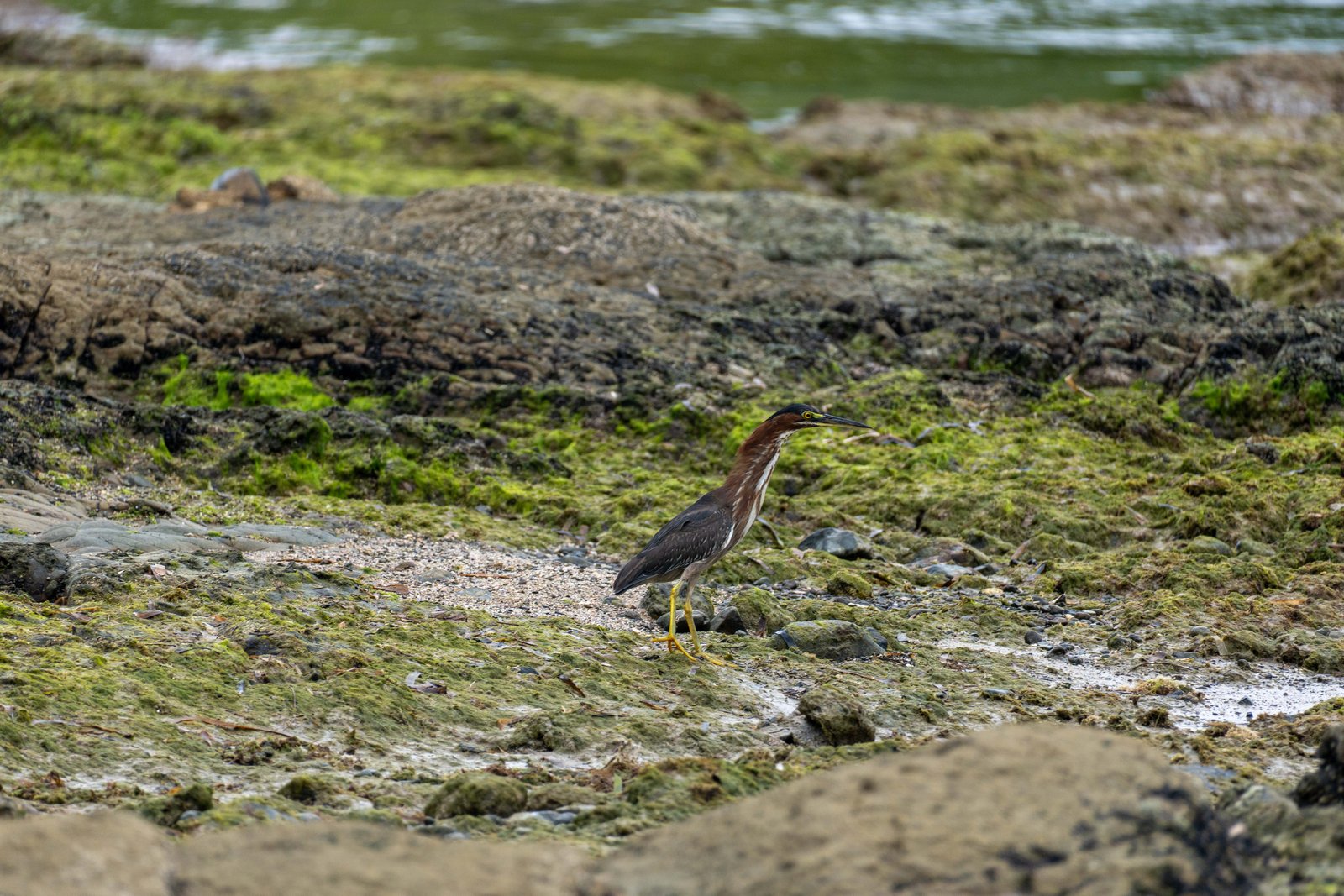 A photo from glenkphoto.com gallery