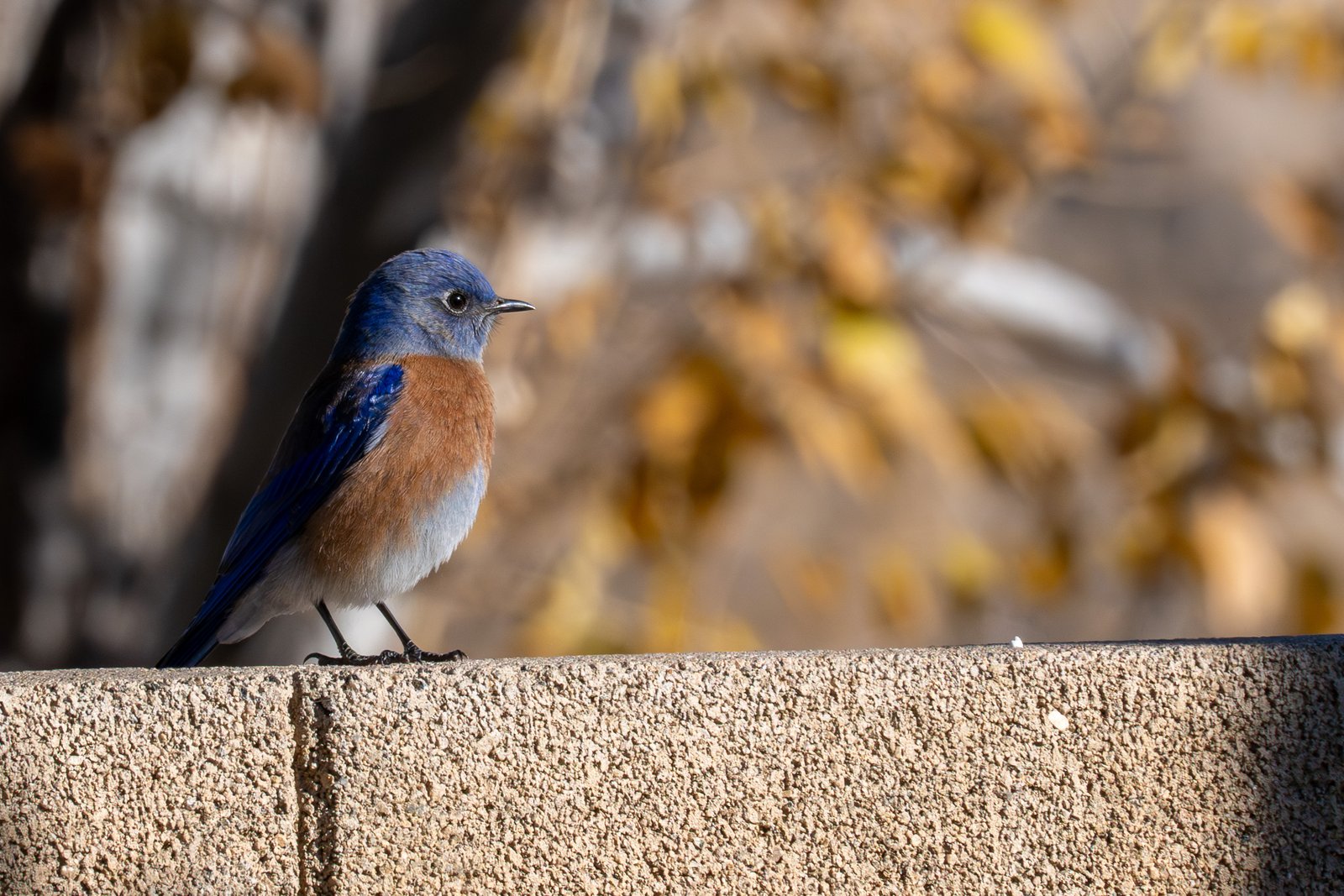 A photo from glenkphoto.com gallery