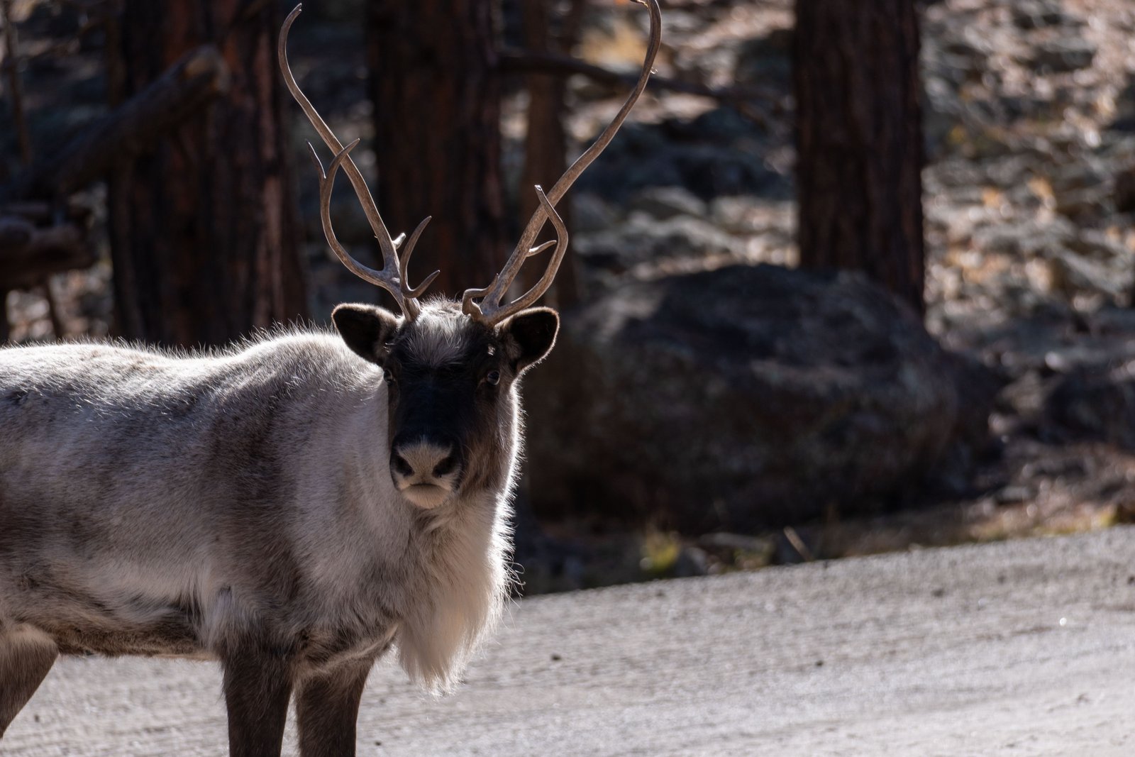 A photo from glenkphoto.com gallery