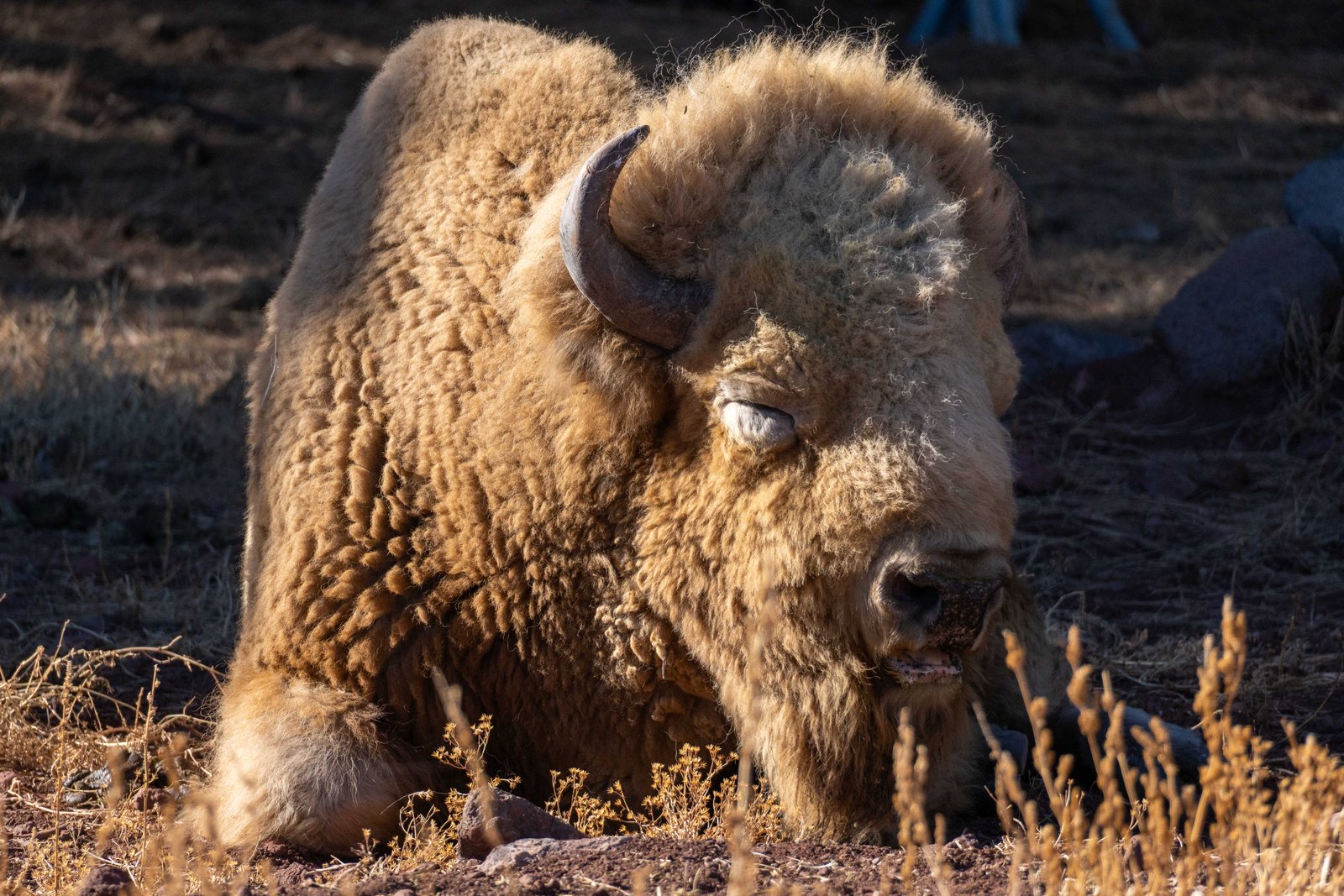 A photo from glenkphoto.com gallery