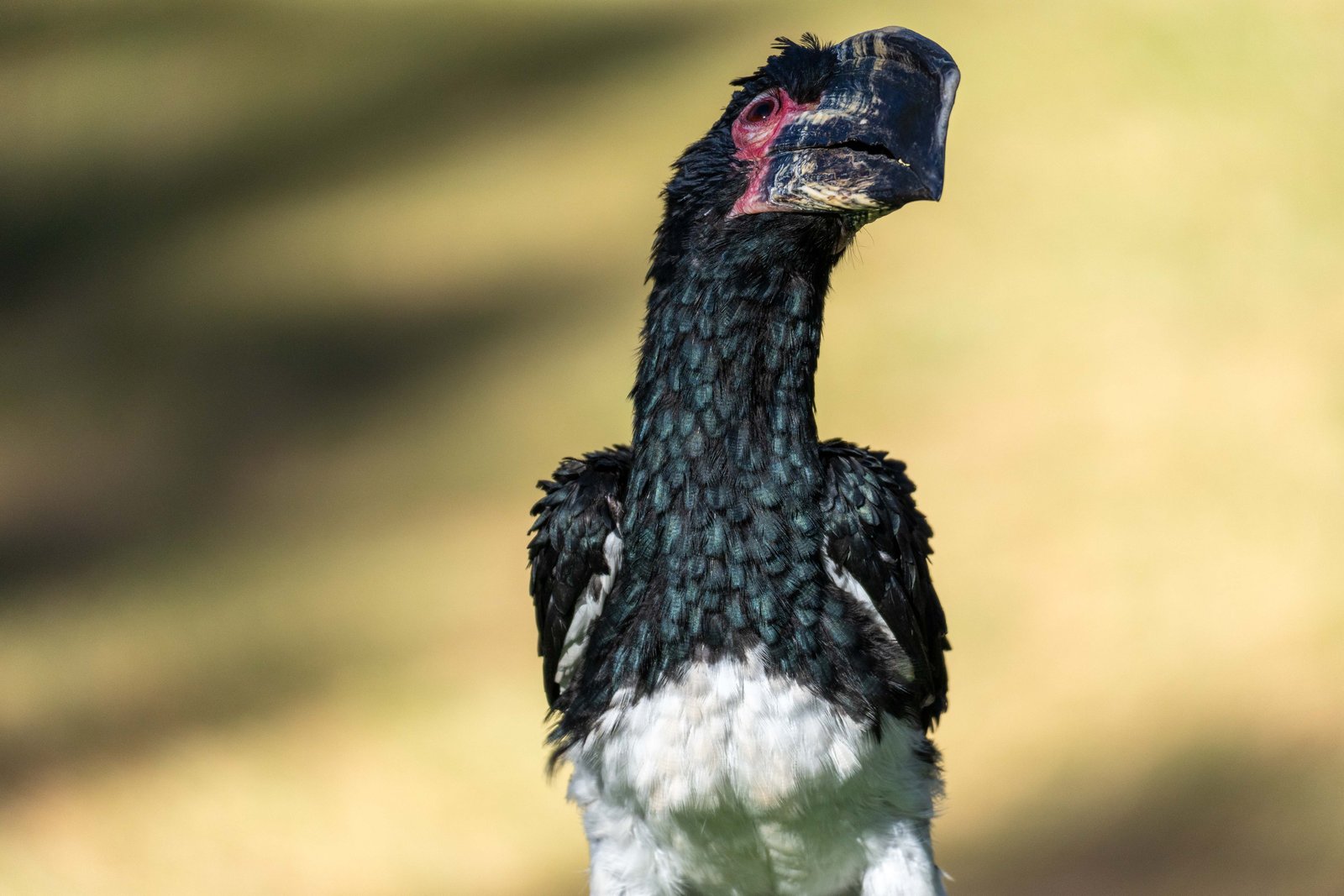 A photo from glenkphoto.com gallery