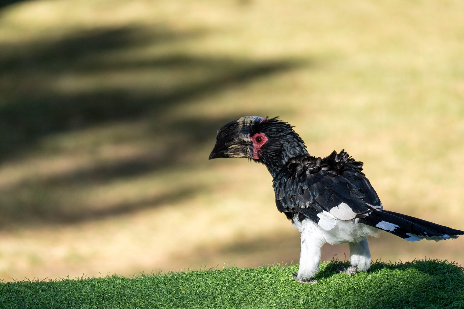 A photo from glenkphoto.com gallery