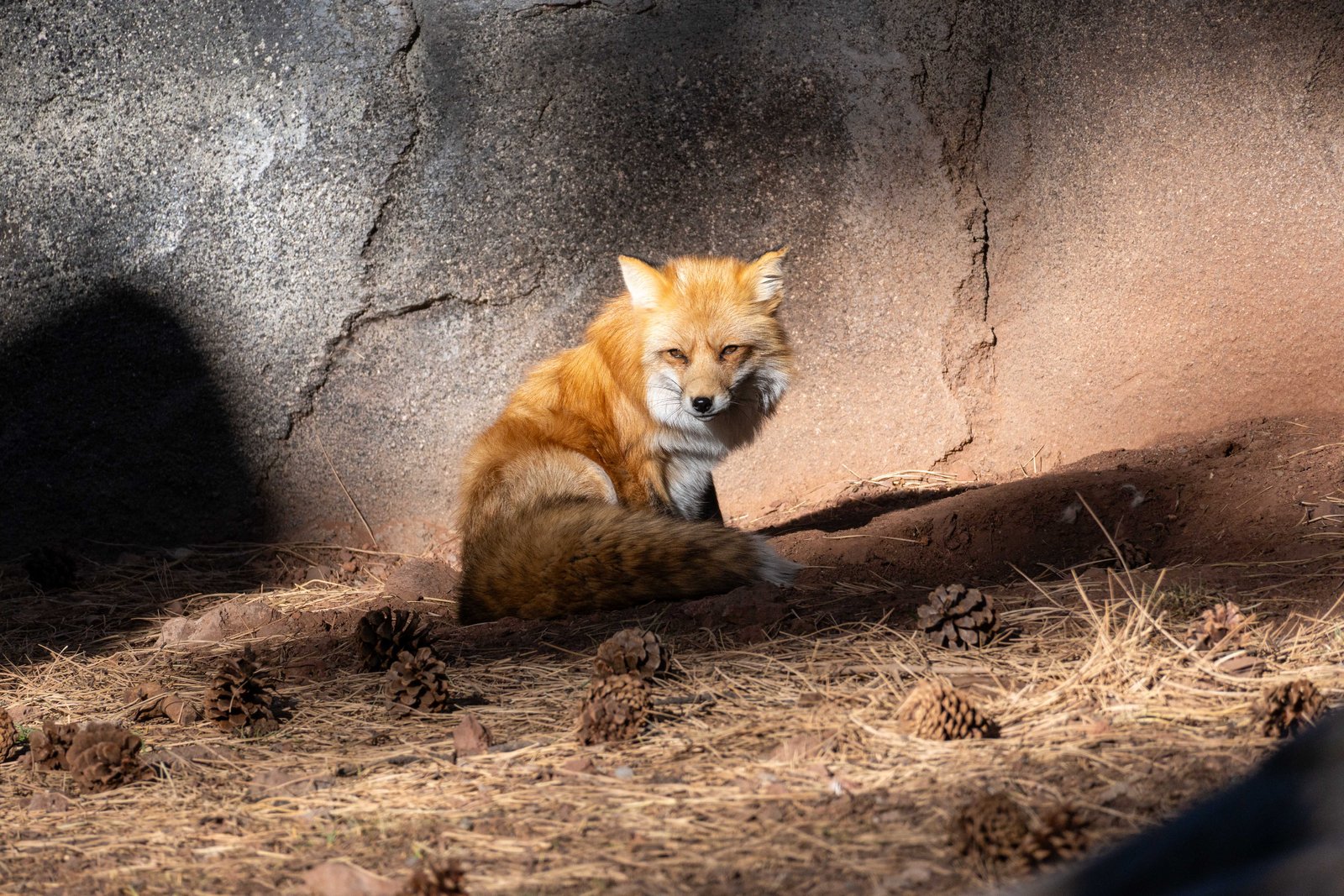 A photo from glenkphoto.com gallery