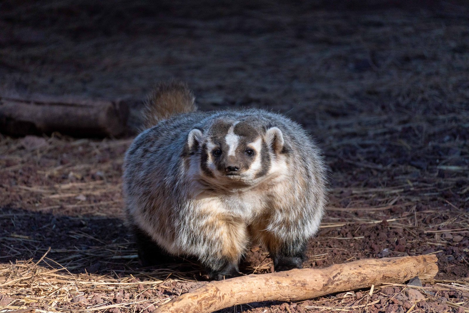 A photo from glenkphoto.com gallery