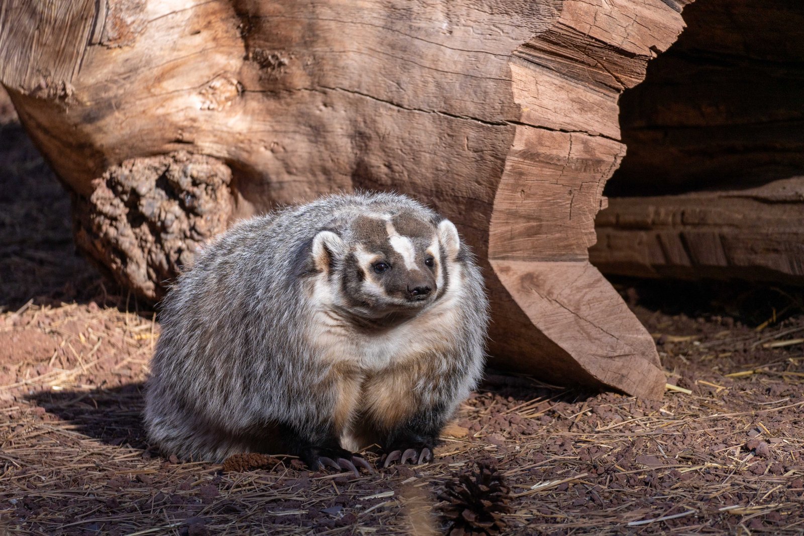 A photo from glenkphoto.com gallery