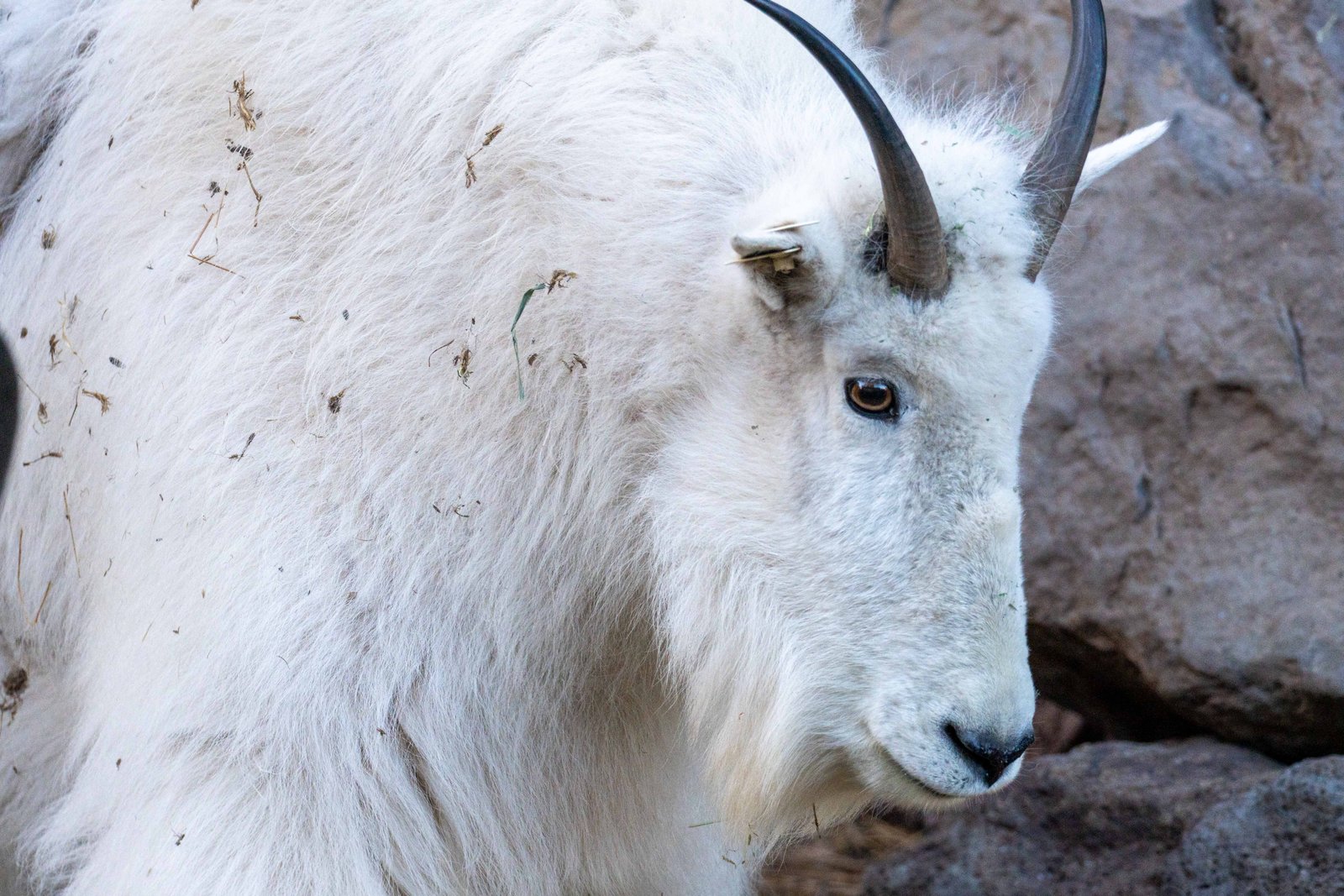 A photo from glenkphoto.com gallery