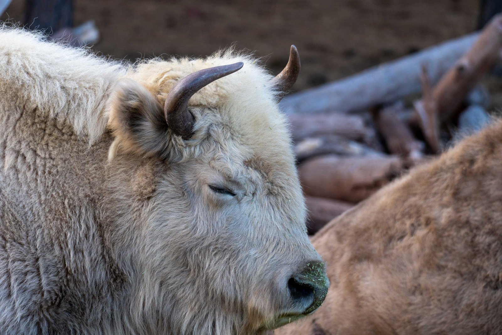 A photo from glenkphoto.com gallery