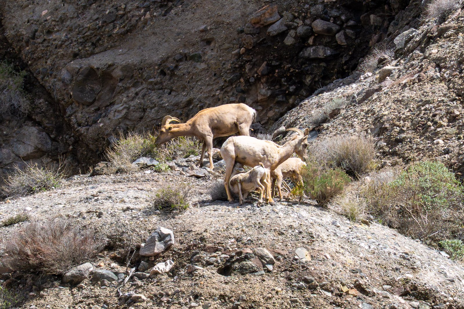 A photo from glenkphoto.com gallery