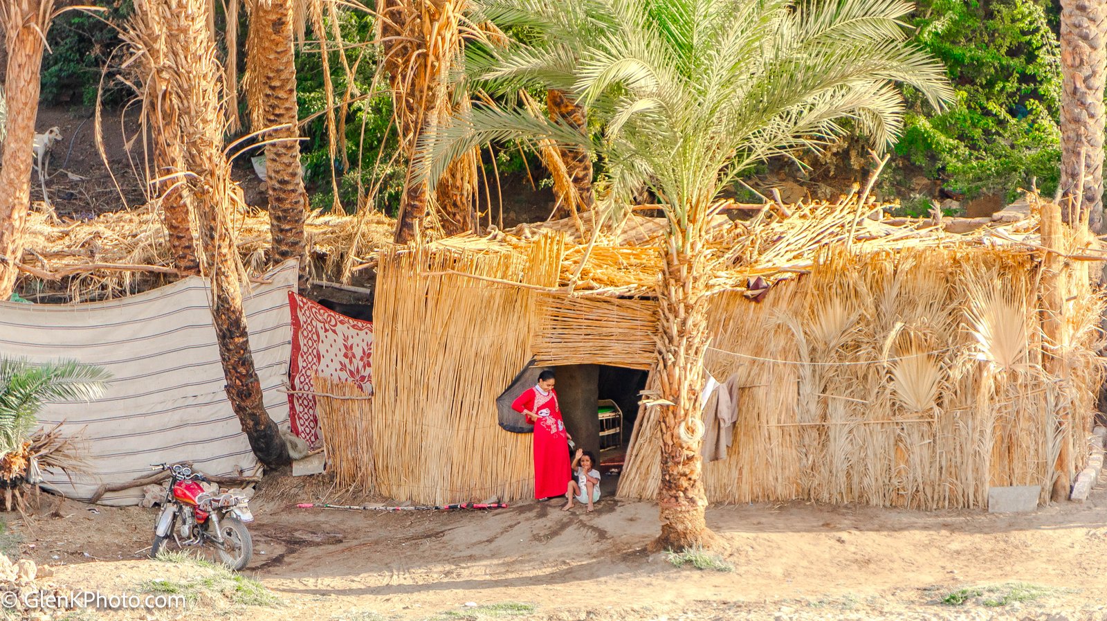 A photo from glenkphoto.com gallery