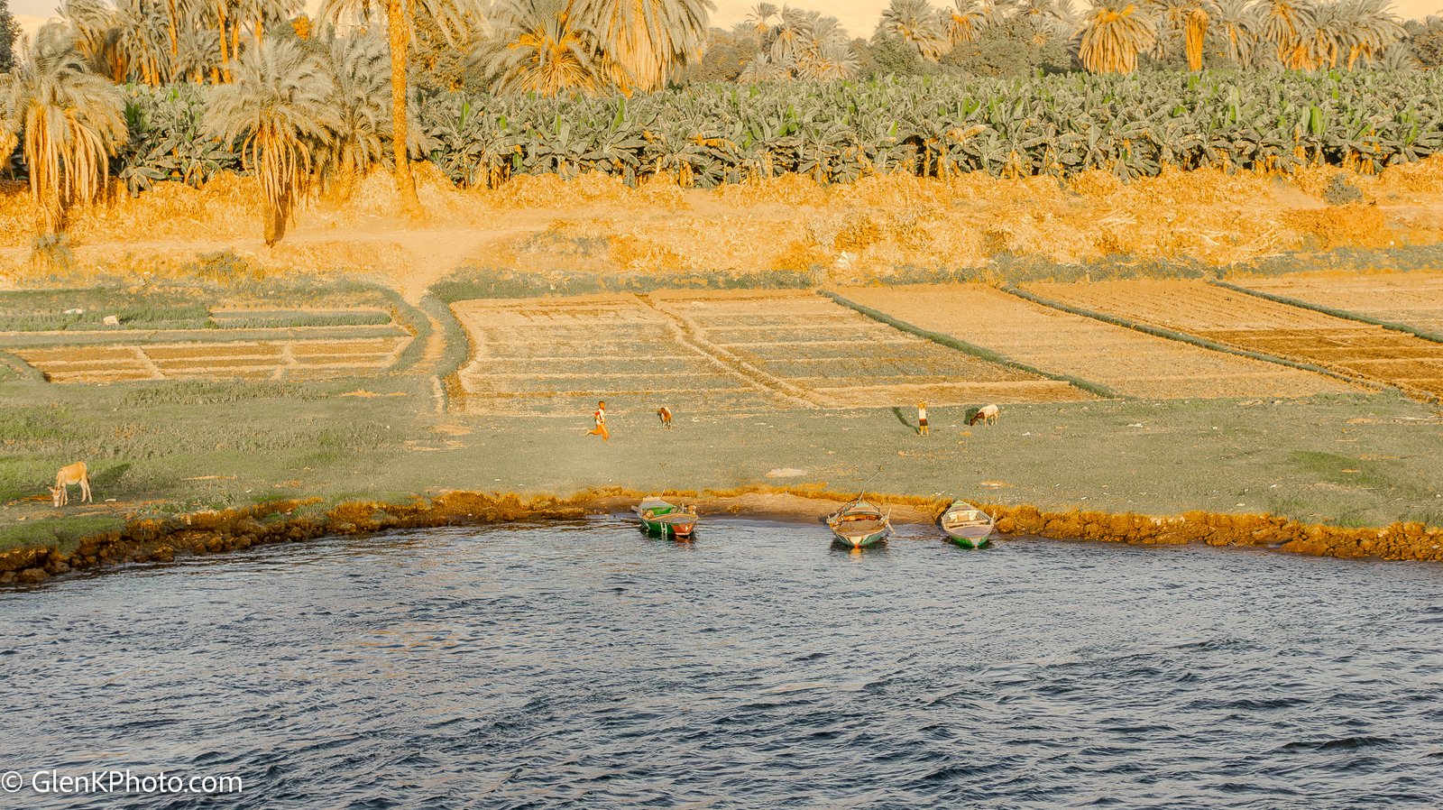 A photo from glenkphoto.com gallery